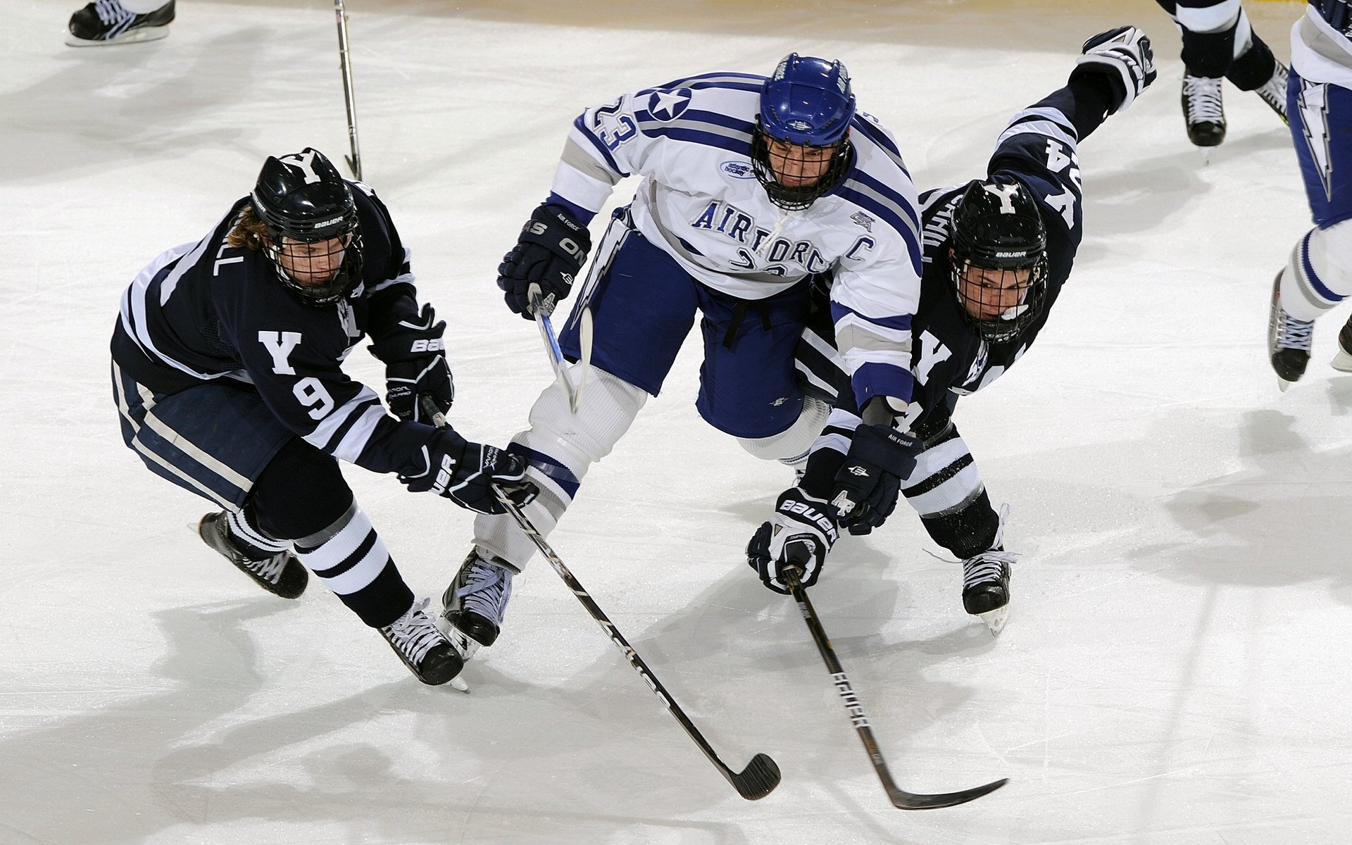 _极限风筝冲浪：在海风中追逐自由_，极限风筝视频